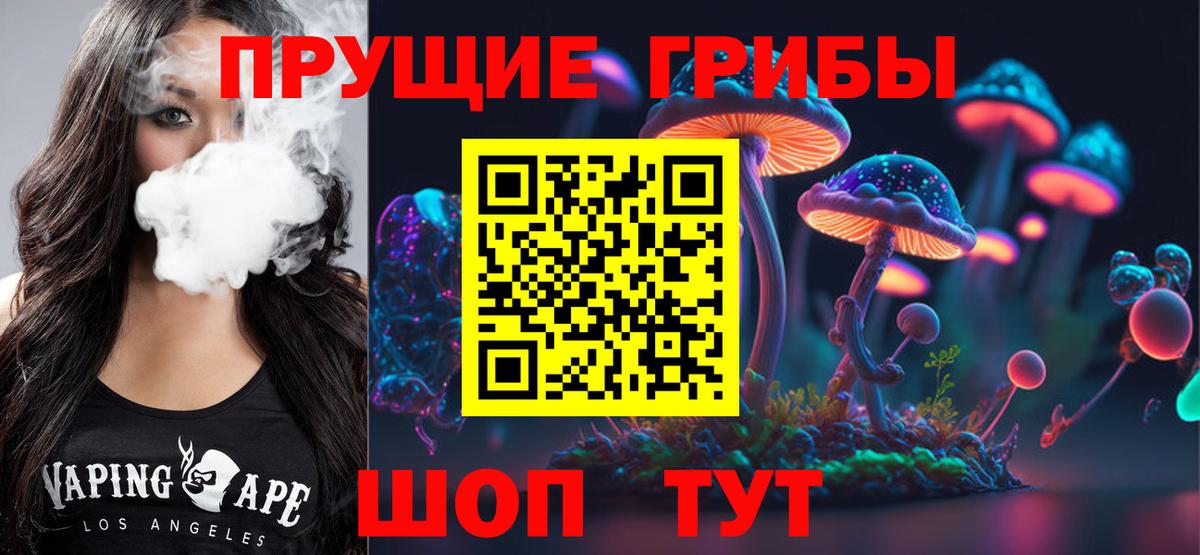 Псилоцибиновые грибы Psilocybe Кунгур